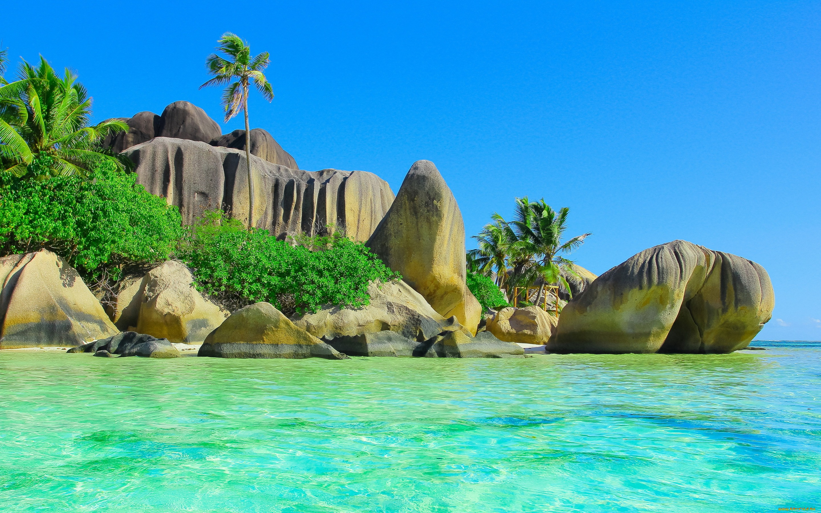 , , , summer, palm, , ocean, sea, paradise, beach, coast, , , , tropical, , 